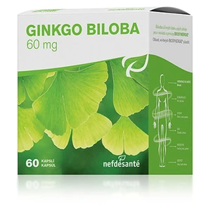 Nefdesanté Ginkgo Biloba 60 kapslí