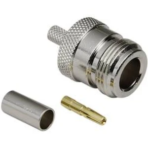 N konektor BKL Electronic zásuvka, rovná 3.2 mm, 50 Ω, 1 ks