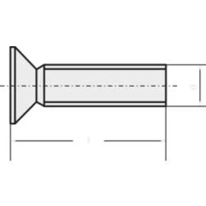 Zápustné šrouby s drážkou TOOLCRAFT, DIN 965, M2 x 6, 100 ks