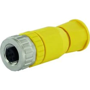 Neupravený zástrčkový konektor pro senzory - aktory Murr Elektronik 7030-12931-0000000 1 ks