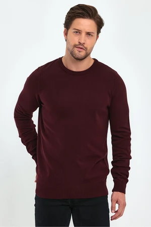 Lafaba Men's Claret Red Crew Neck Basic Knitwear Sweater