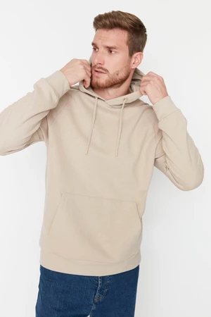 Trendyol Beige Basic Regular/Normal Cut Hooded Fleece Inside Sweatshirt