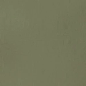 Akrylová barva Basics 22ml – 205 green gray