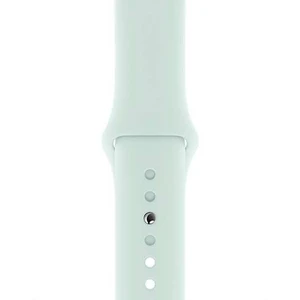 Apple Watch 40mm Seafoam Sport Band - Regular