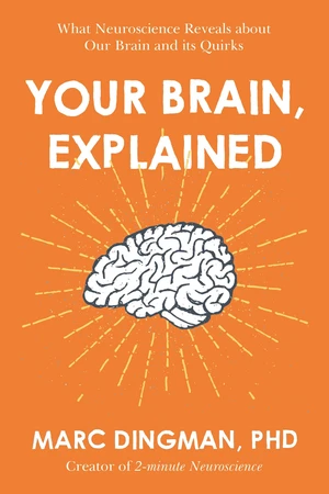 Your Brain, Explained