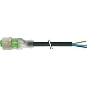 Neupravený zástrčkový konektor pro senzory - aktory Murr Elektronik 7000-12261-6230300 3.00 m, 1 ks