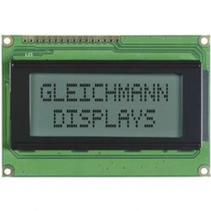 LCD displej Gleichmann, GE-C1604A-TFH-JT/R, 13,6 mm, bílá/černá