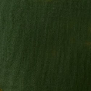 Akrylová barva Basics 946ml – 224 hookers green hue permanent