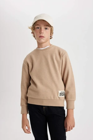 DEFACTO Regular Fit Crew Neck Sweatshirt