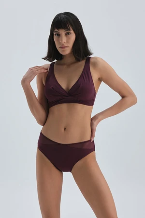 Dagi Burgundy High Waist Bikini Bottom