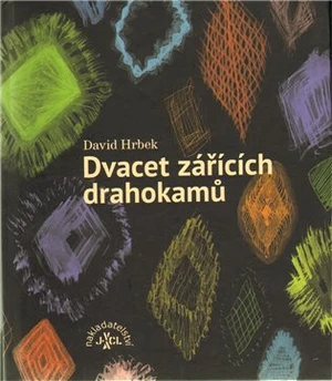 Dvacet zářících drahokamů - David Hrbek