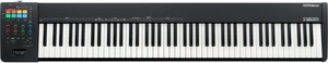 Roland A-88MKII MIDI keyboard