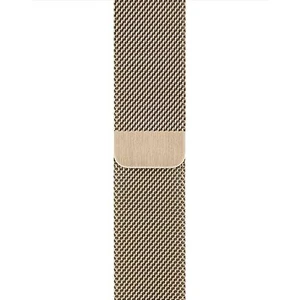 Apple Watch 40mm Gold Milanese Loop