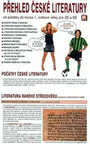 Přehled české literatury - Bradáčová Dagmar