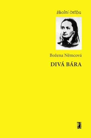 Divá Bára - Božena Němcová - e-kniha