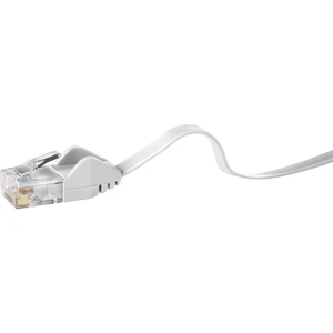 Renkforce RF-4149825 RJ45 sieťové káble, prepojovacie káble CAT 6 U/UTP 10.00 m sivá veľmi flexibilné, s ochranou 1 ks