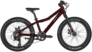 Bergamont Bergamonster 20 Plus Girl Candy Red Bicicleta para niños