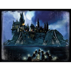 HM Studio 3D Puzzle Harry Potter Hogwarts 500 dielikov