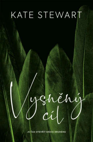 Vysněný cíl - Kate Stewart