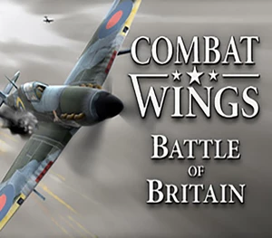 Combat Wings: Battle of Britain Steam CD Key