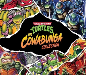 Teenage Mutant Ninja Turtles: The Cowabunga Collection TR Steam CD Key