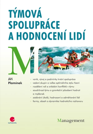 Týmová spolupráce a hodnocení lidí, Plamínek Jiří