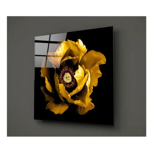 Čierno-žltý sklenený obraz Insigne Calipsa Amarillo, 30 × 30 cm
