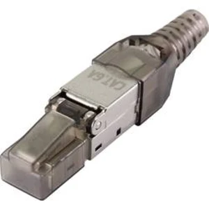 Zástrčka, rovná Renkforce RF-4538312, RJ45 černá (transparentní), 1 ks