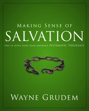 Making Sense of Salvation