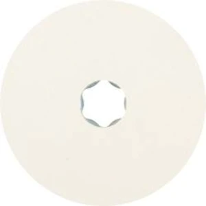 PFERD 42003005 KŮŇ brusný talíř Průměr 100 mm