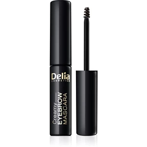 Delia Cosmetics Eyebrow Expert riasenka na obočie odtieň Graphite 4 ml