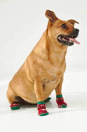 Ponožky pre psa Medicine