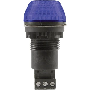 Auer Signalgeräte signalizačné osvetlenie LED IBS 800505405 modrá modrá trvalé svetlo, blikajúce 24 V/DC, 24 V/AC