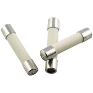 Trubičková pojistka ESKA 528020, 528020, (Ø x d) 5 mm x 25 mm 2 A 250 V středně pomalá -mT-, 200 ks