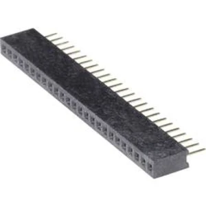 Zásuvková lišta BKL Electronic 10120602, řádky 1, kontakty na řádek 25, 1 ks