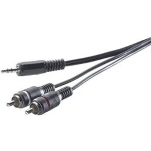 Cinch / jack audio kabel SpeaKa Professional SP-7869912, 30.00 cm, černá