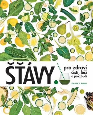 Šťávy pro zdraví: čistí, léčí a povzbudí - Kara M.L. Rosenová