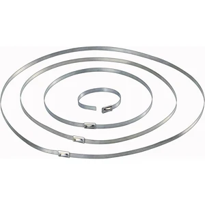 TRU COMPONENTS 1570838  sťahovacie pásky 201 mm 4.60 mm strieborná  10 ks