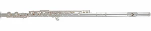 Roy Benson FL-602E Koncertná priečna flauta