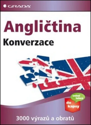 Angličtina Konverzace - Cribbin Lise, Brenda Schmidt