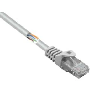 Síťový kabel RJ45 Basetech BT-1717475, CAT 5e, U/UTP, 25.00 cm, šedá