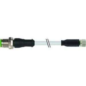 Upravený zástrčkový konektor pro senzory - aktory Murr Elektronik 7000-40561-2100030 0.30 m, 1 ks