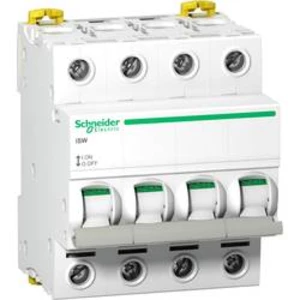 Odpínač Schneider Electric A9S65440, 40 A, 240 V