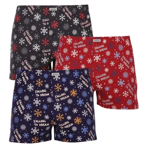 3PACK Men's Shorts Andrie multicolor