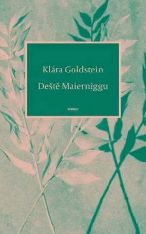 Deště Maierniggu (Defekt) - Klára Goldstein