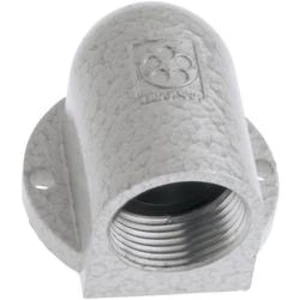 Úhlová průchodka LAPP SKINDICHT® SE PG 36 52004150 litina, přírodní, 1 ks