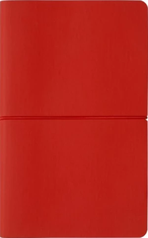 Zápisník Flexio Red - linkovaný L