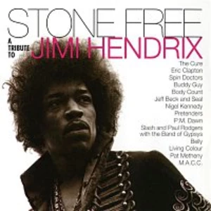 Various  Artists – Stone Free: A Tribute to Jimi Hendrix