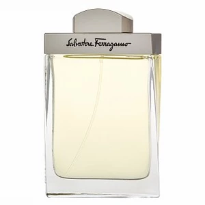 Salvatore Ferragamo Pour Homme toaletní voda pro muže 100 ml