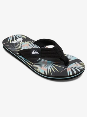 Men's Footwear  Quiksilver  Basic